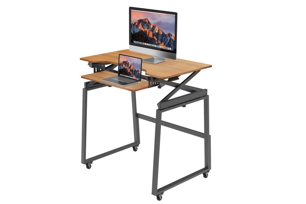 Cooligg 360 adjustable cell phone stand black desktop holder ideal