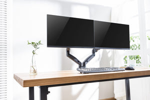 D2 Dual Monitor Mount - 1